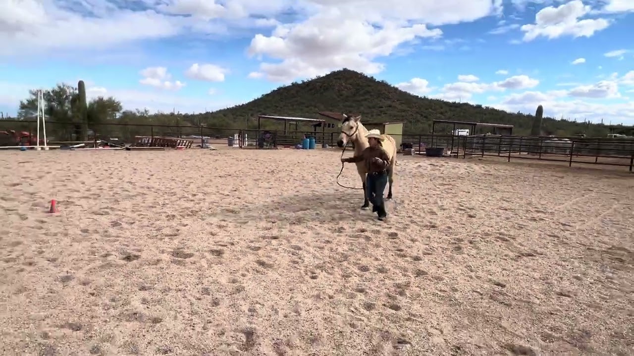#111 Ranch Ground Handling- RCR Angel’s Envy/Nicole Olmedo
