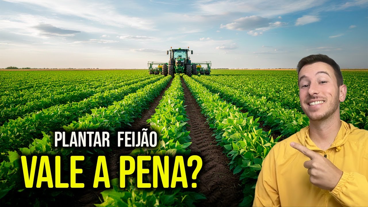 Será que Plantar Feijão Dá Lucro? Fiz as Contas!