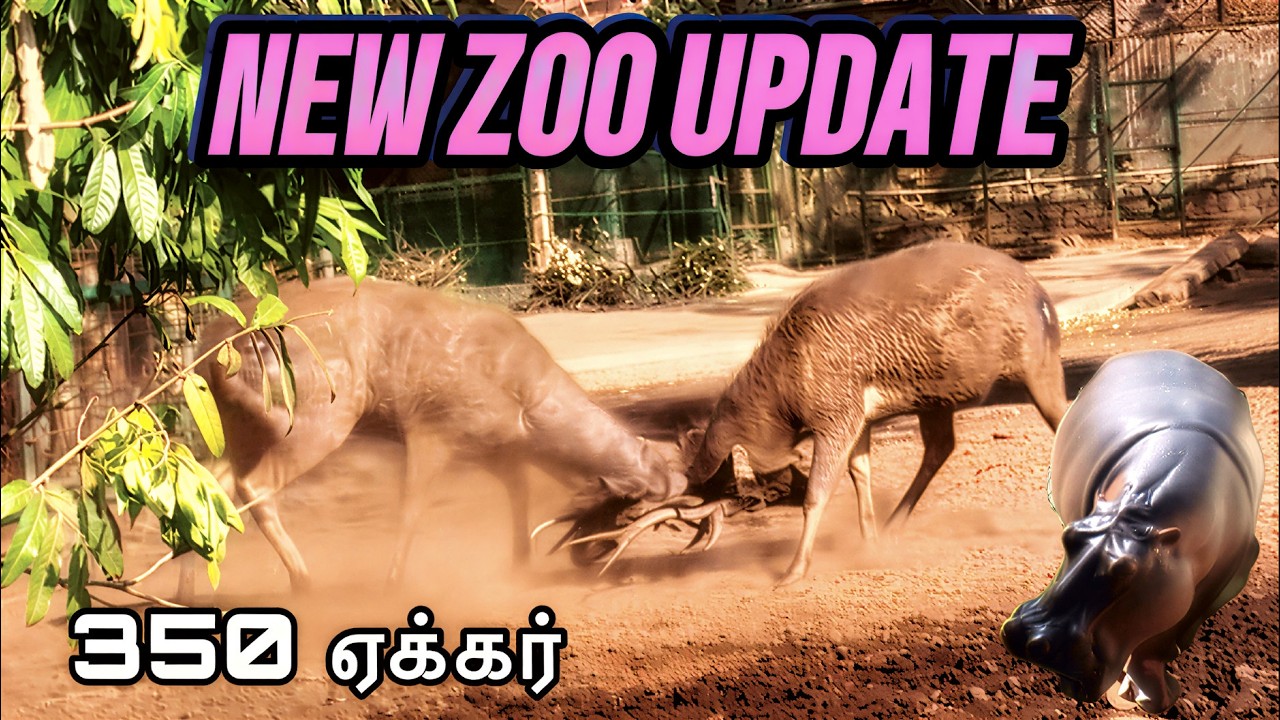 🦬Thrissur Zoo Tour 2026 | 🐯Animals Relocation to Puthur Zoo | Travel Vlog |Miles and roads