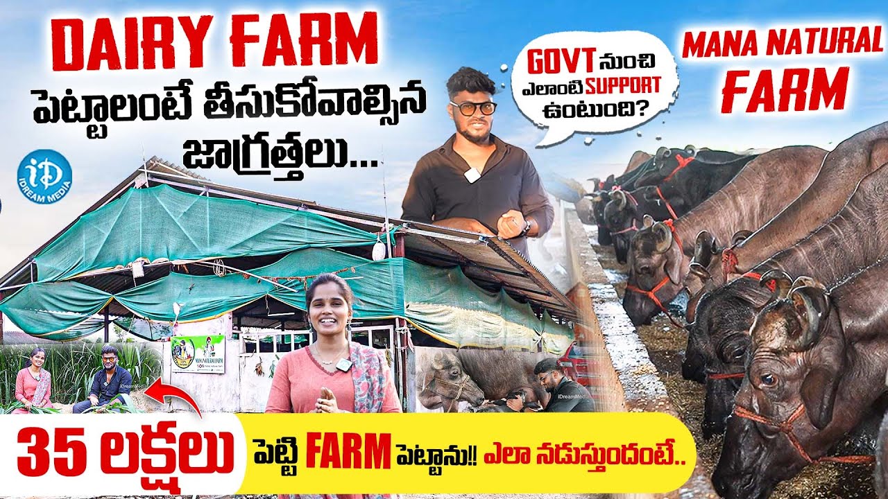 Mana Natural Farm Tour (Chandu chukkal) With Anchor Vyshu || iDream Media