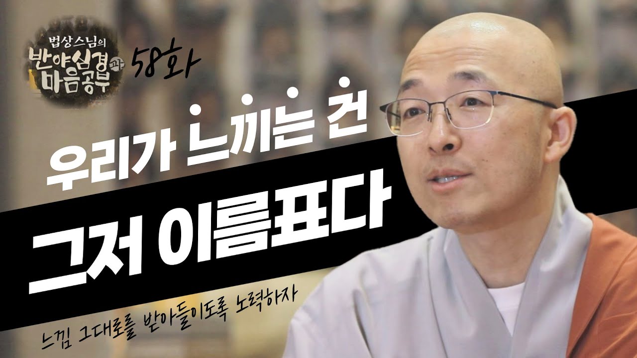 우리는 느낌 그대로를 느끼는 것이 아니라, 느낌에 붙은 이름표를 느끼고 있는 것이다 - [법상스님의 반야심경과 마음공부 58회]