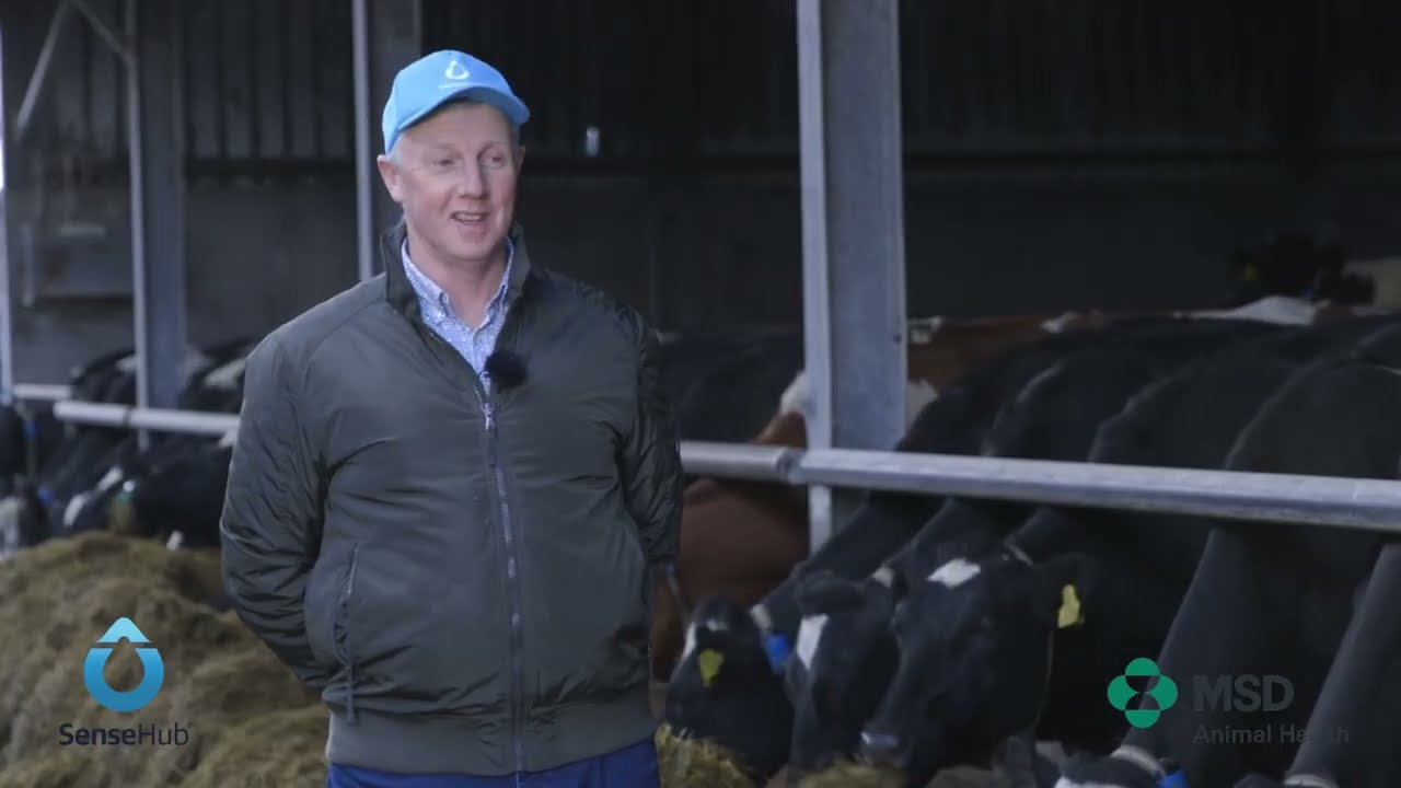 Eoghan McCarthy - SenseHub Dairy Farmer from Co.Kerry