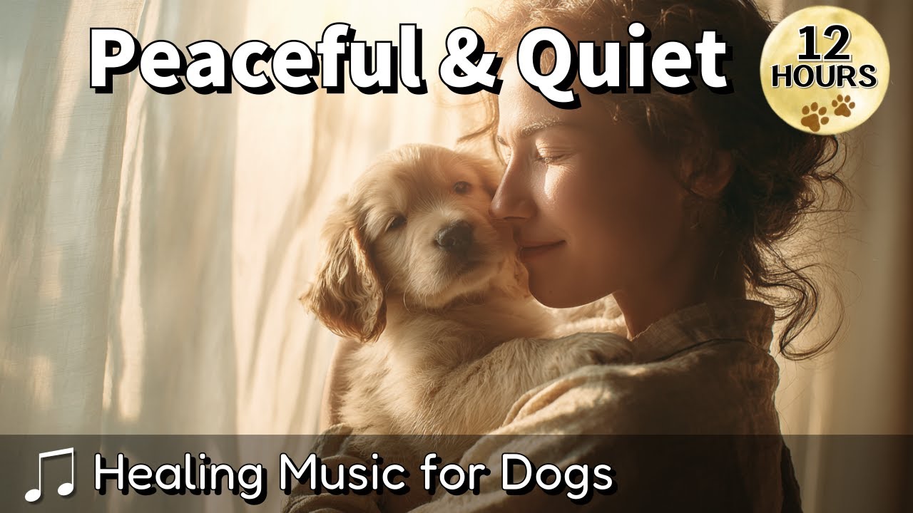 Dog Music &ndash; Reduce Barking & Calm Your Dog&rsquo;s Nervous System (12 Hours)