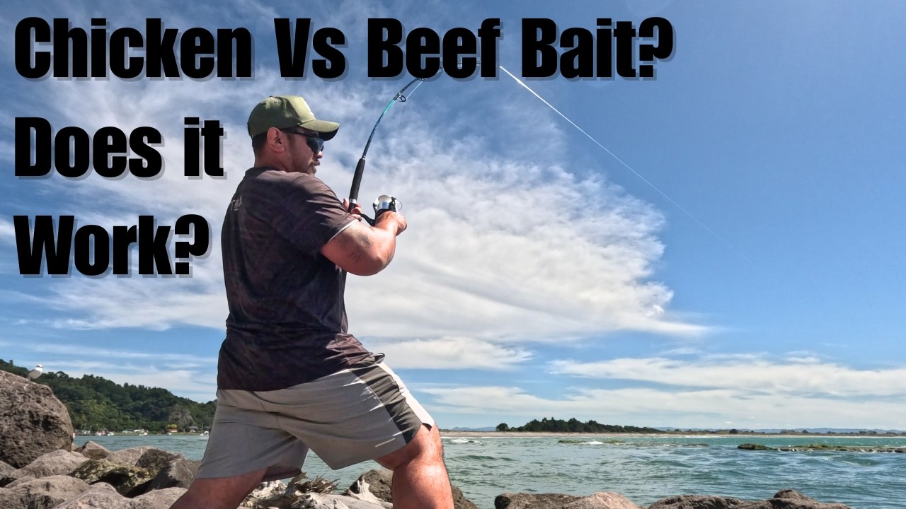 Chicken vs Beef Bait  Does it work? #newzealand #fishing #outdoors 