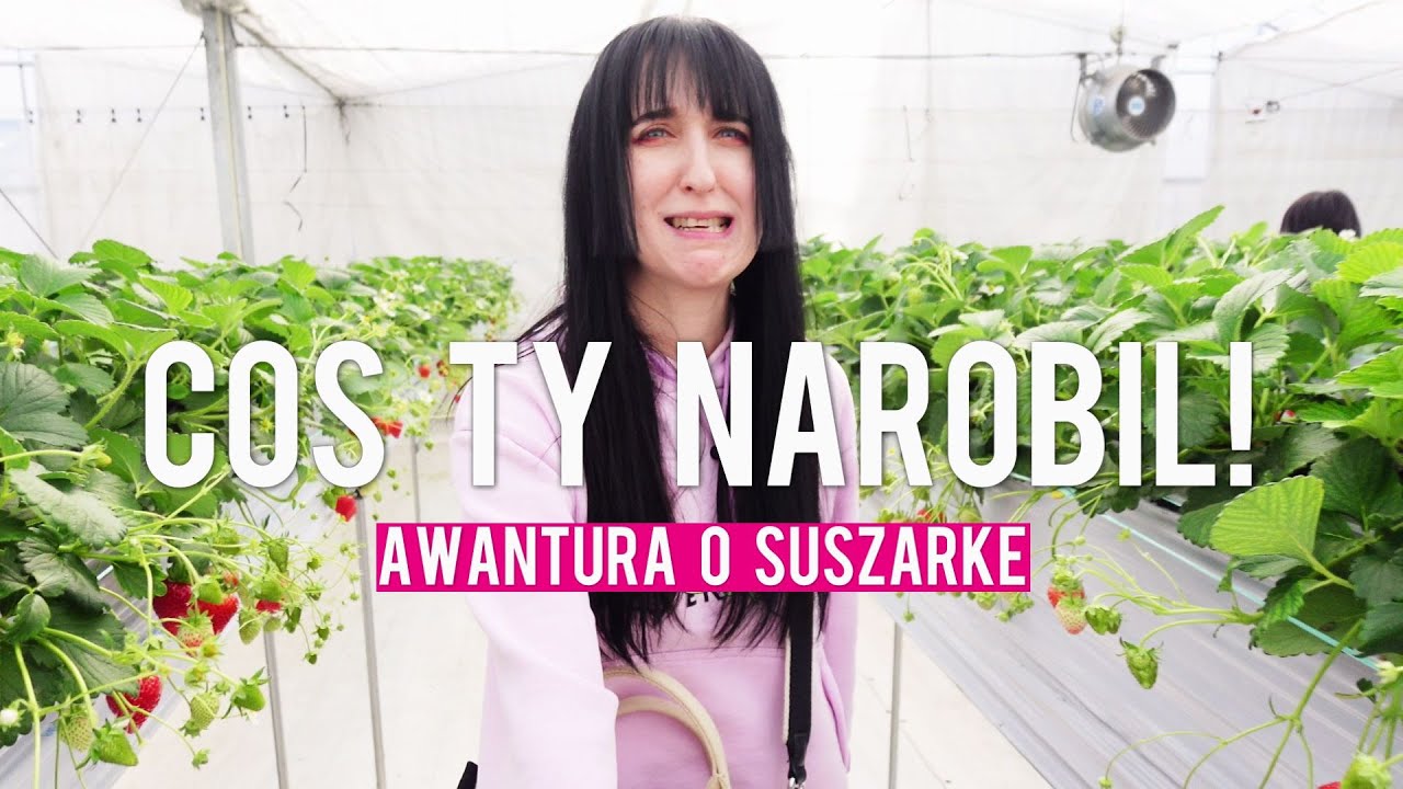 💖WALENTYNKI💖W JAPONII-😮‍💨1000zł za suszarkę😱