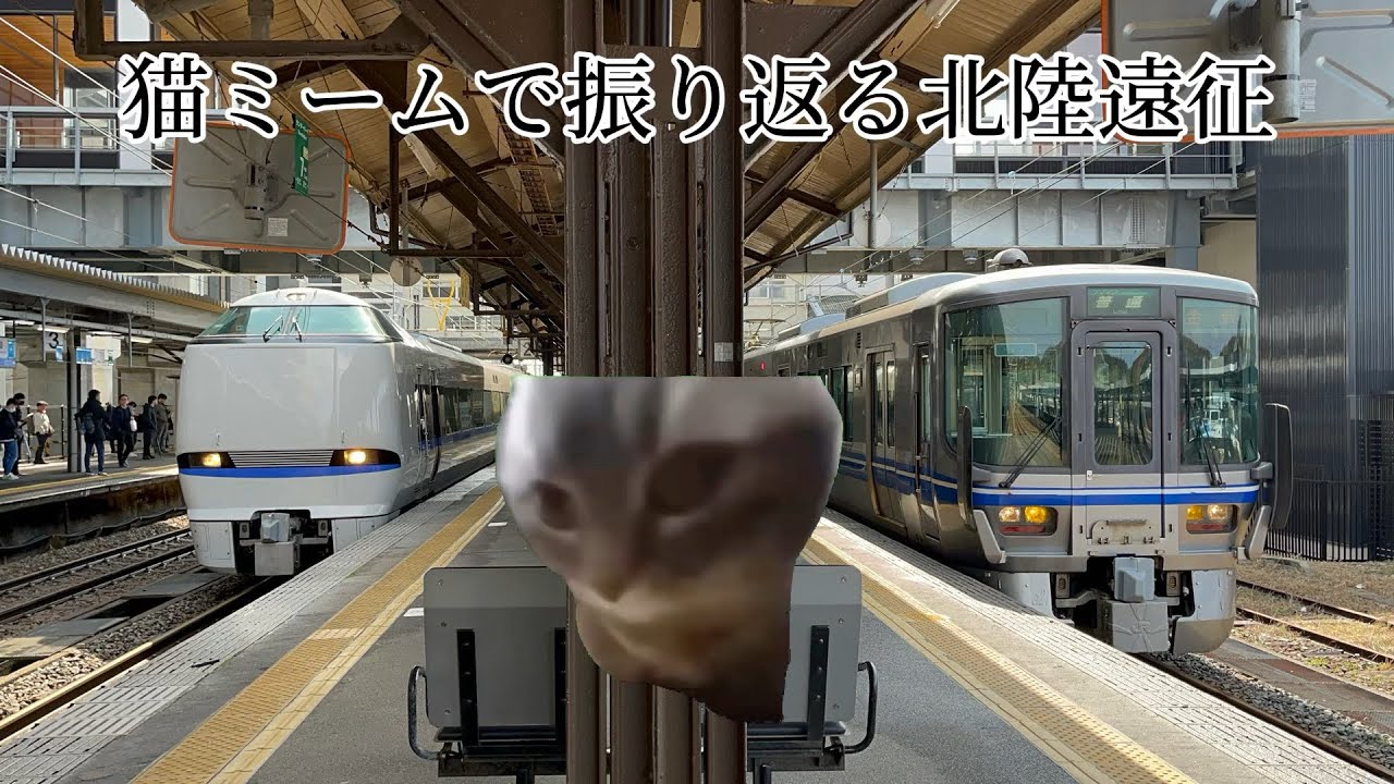 猫ミームで振り返る北陸遠征