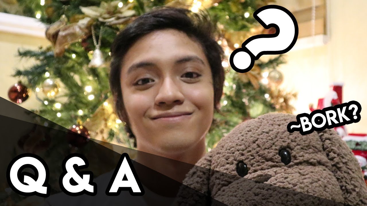 My First Q and A Video!