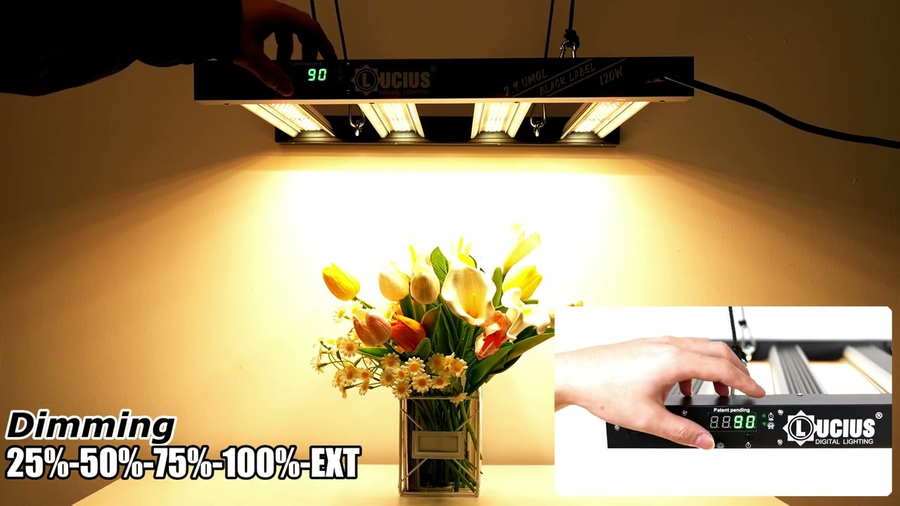 120w Black Label with LED Display