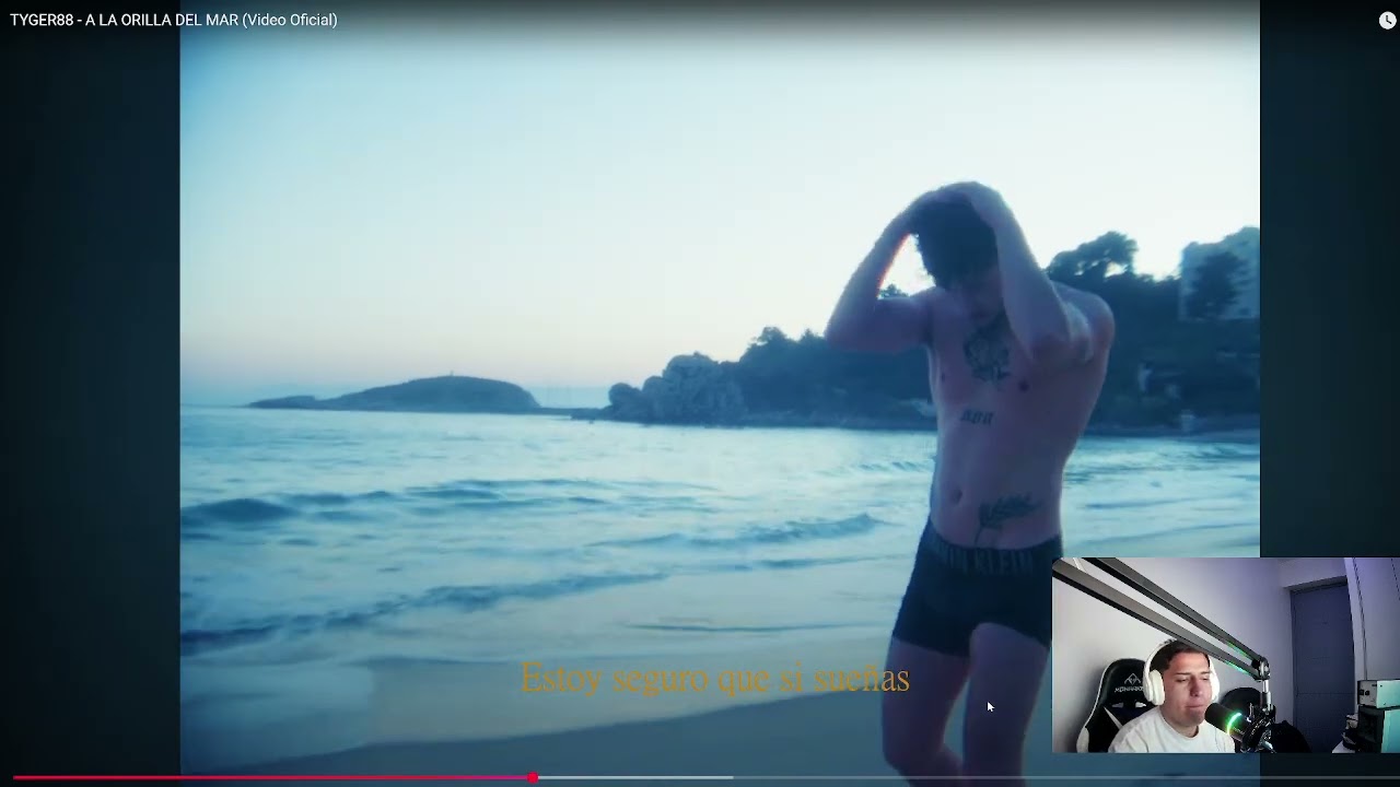 REACCIÓN A LA ORILLA DEL MAR | TYGER88