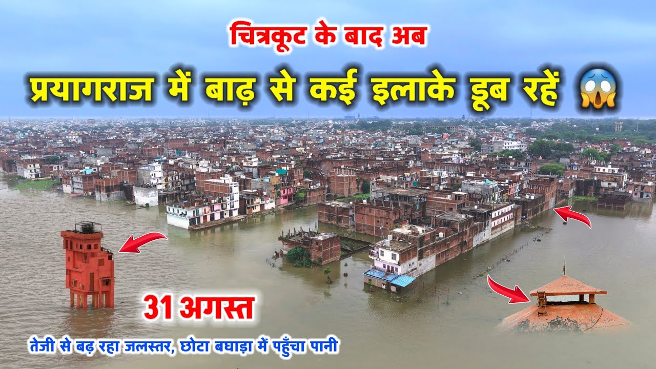 प्रयागराज में बाढ़ आने से डूब रहें 😱 घर, घाट, कई इलाके जलमग्न  Flood in Prayagraj #flood #prayagraj 