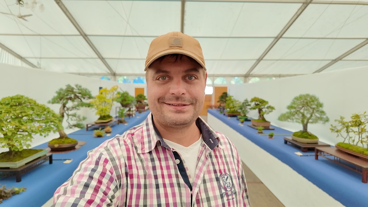 Zu Besuch beim Bonsai Kreativ Fest III in Düsseldorf