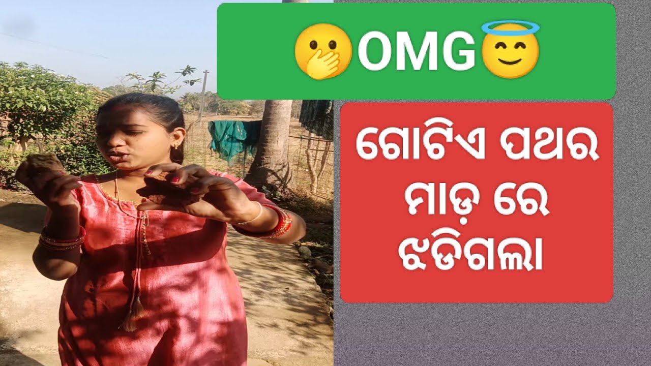 Mu Kn Karideli? 🤔 | Sidha Pathara Marili 😂 | BarshaMD Vlog