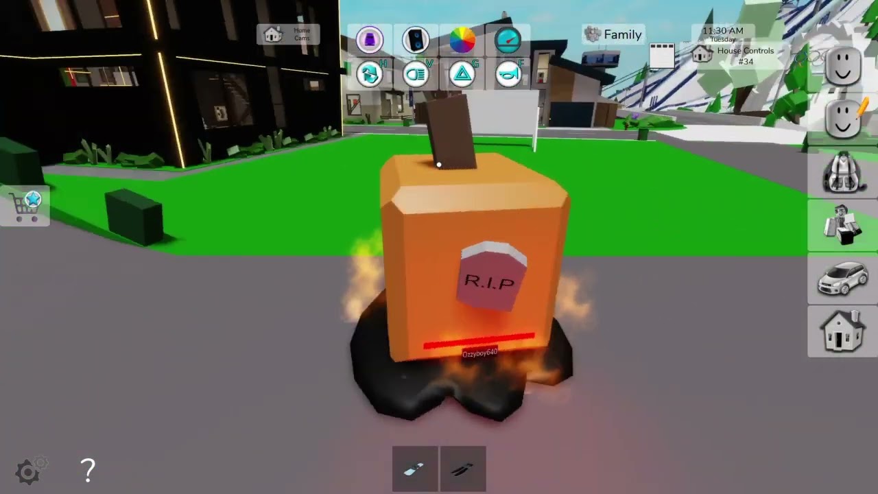 Roblox_20260210100722