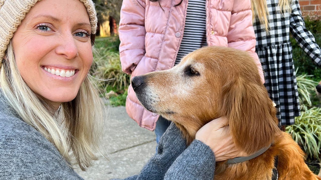 MEET EMILY Our Rescue Golden Retriever Dog. FAMILY MEETING HER For The First Time!