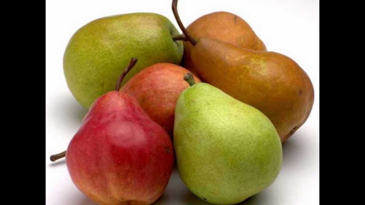 Mardis Monodiète - Naturopathie - Julien Allaire