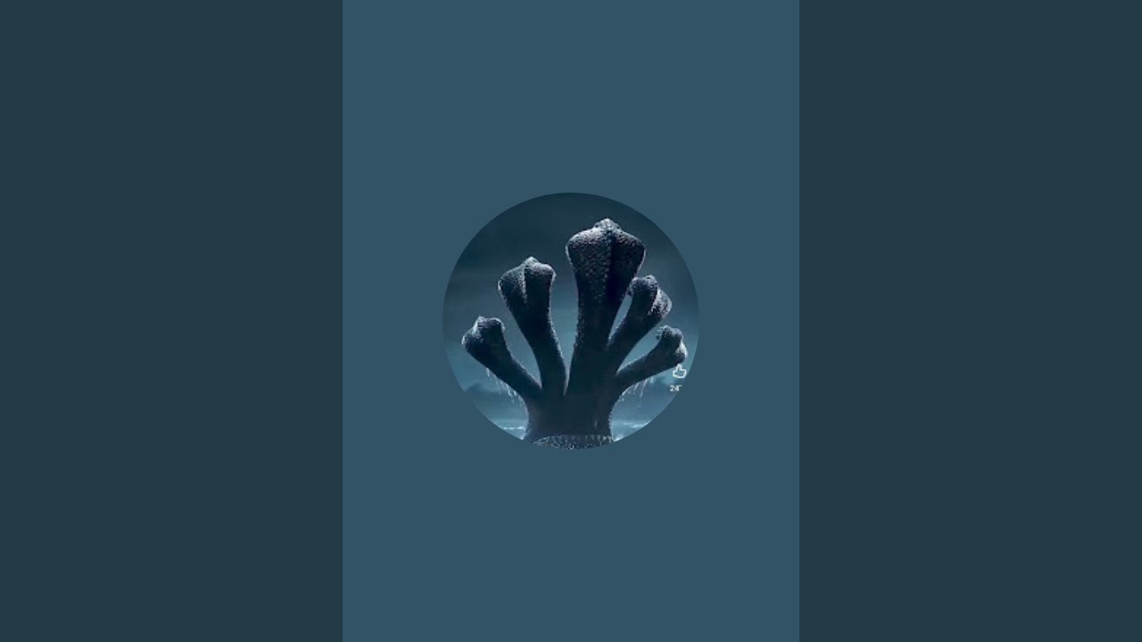 animals anime  is live