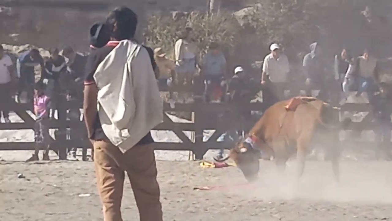 Corrida Taurina en Calicanto - Picaihua 2026