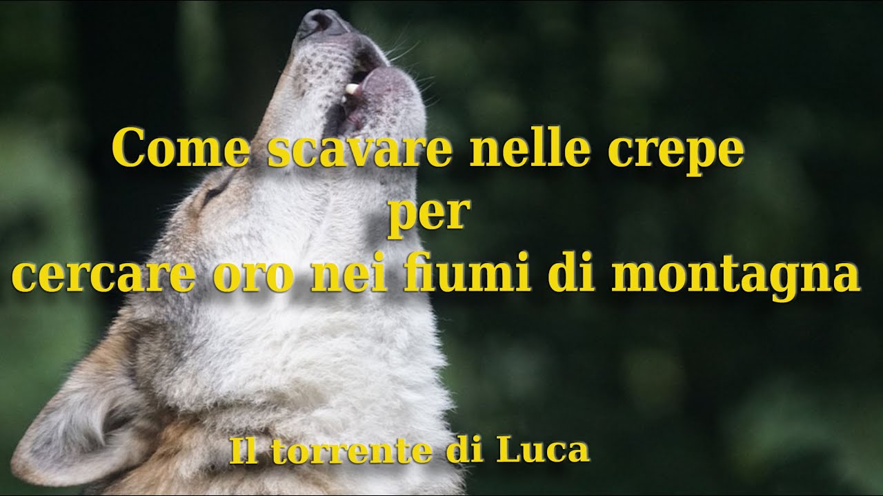 Come scavare nelle crepe per cercare oro nei fiumi di montagna / il torrente di Luca