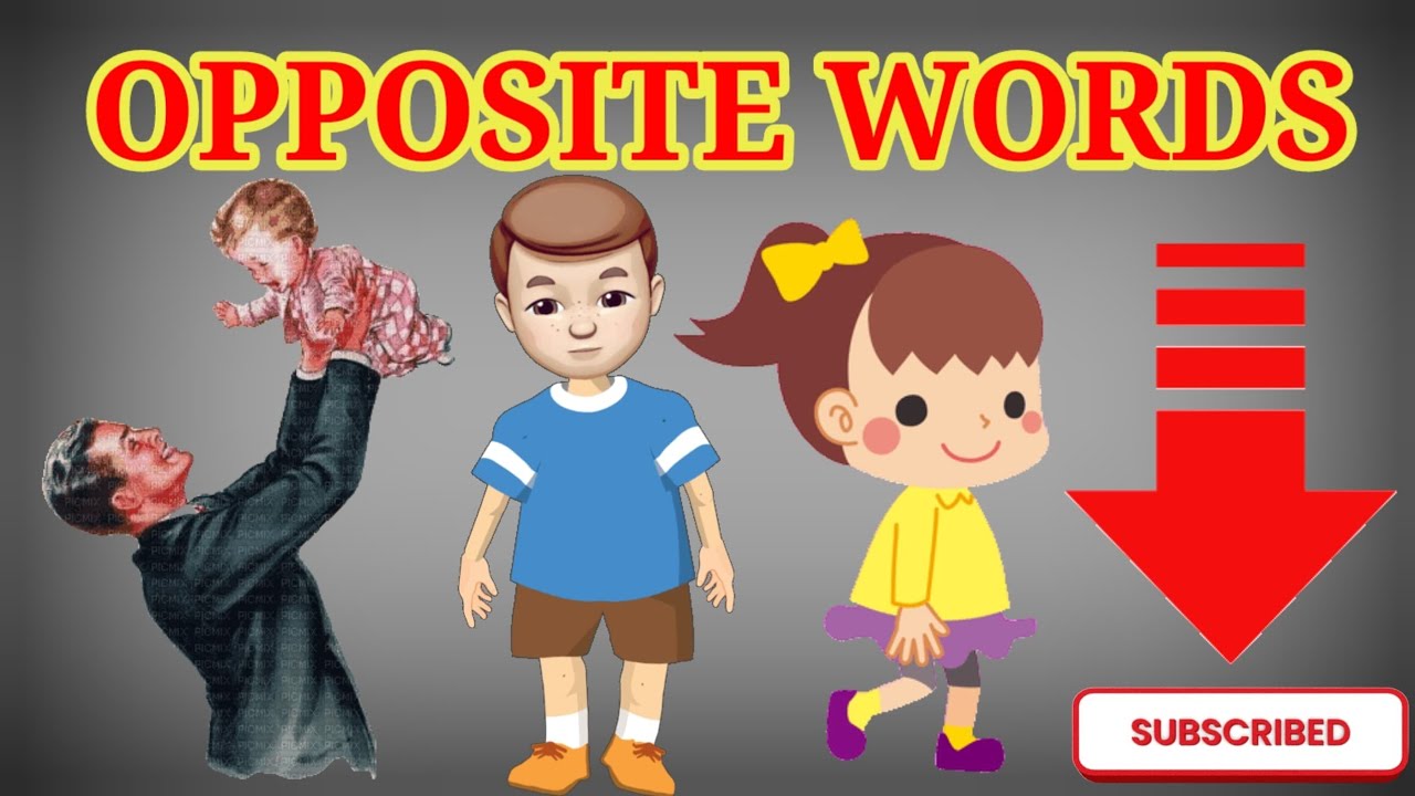Learn Opposite Words | Easy Base Learn |