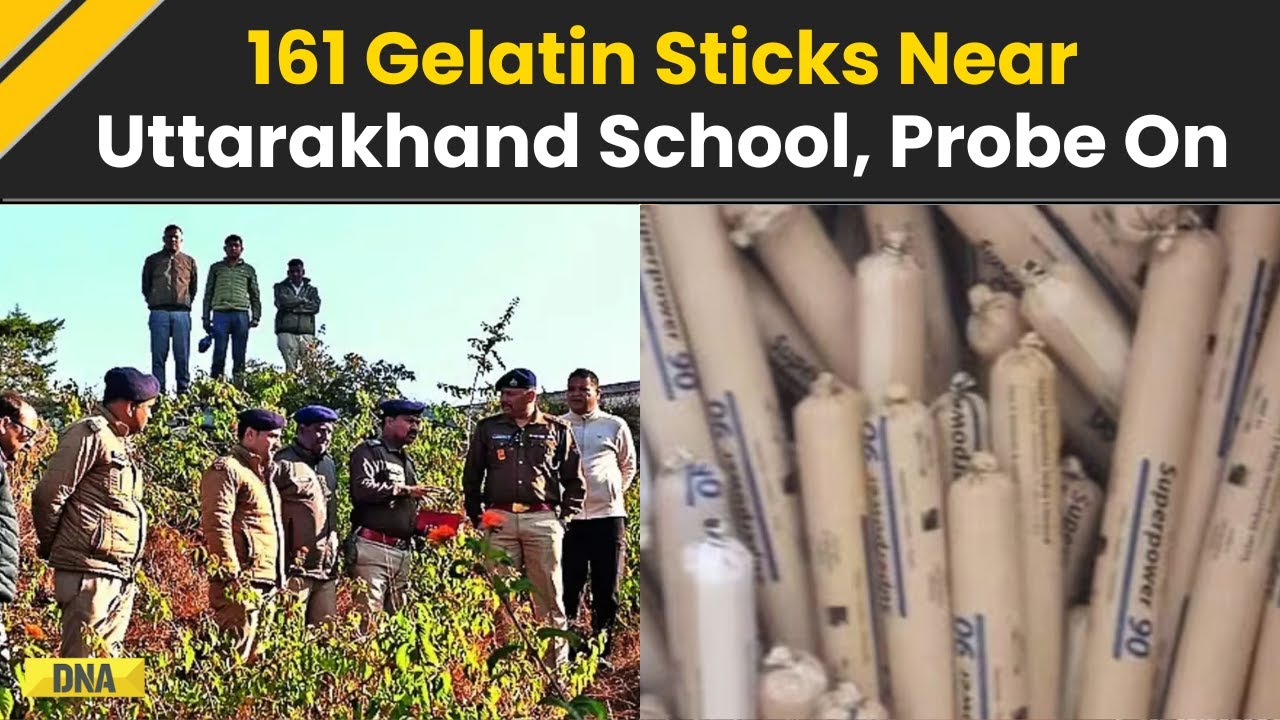 Uttarakhand News: Over 160 Gelatin Sticks Recovered Near Uttarakhand's Almora School, Probe Launched