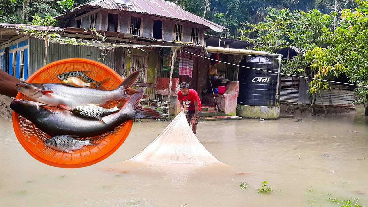 Best Fishing Video in Home | Catching Fish After Rain | Net Fishing | YouTube Village BD