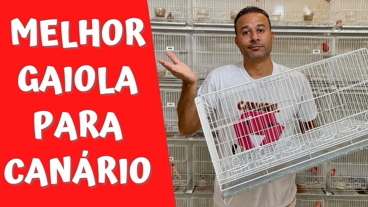 🚨 Diferença entre GAIOLA grande e pequena para seus CANÁRIOS - Mostrando na prática