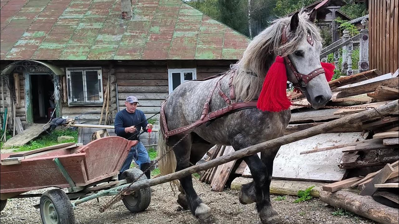 ОБ'ЇХАЛИ ВОЛОДІННЯ РІЗБЯРА/КАТАЄМОСЯ ГІРСЬКИМИ ДОРОГАМИ/АРДЕН ФУНТ👍👍👍 ,МОЖЛИВИЙ ПРОДАЖ.