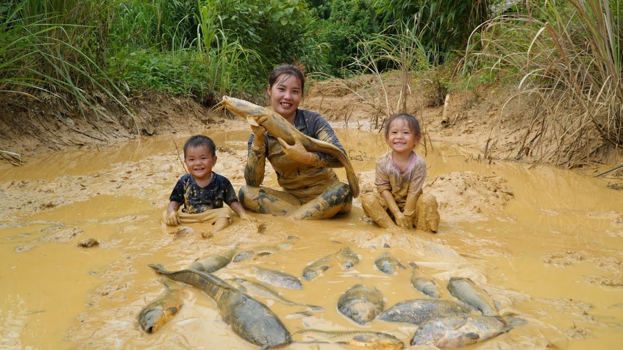 how to harvest a giant fish pond with a little daughter to sell at the market