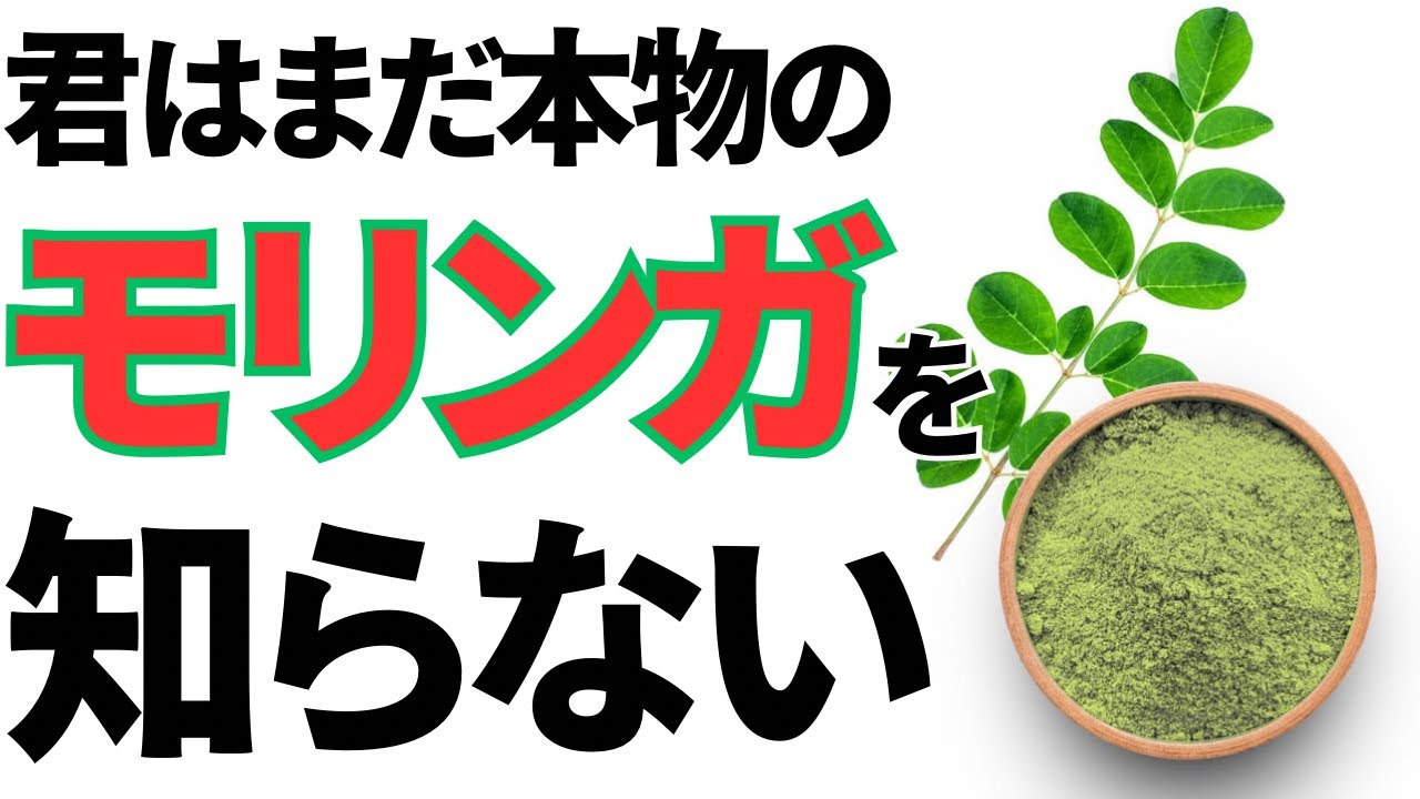【最強モリンガ】奇跡の植物マルンガイの魅力解説【スーパーフード】