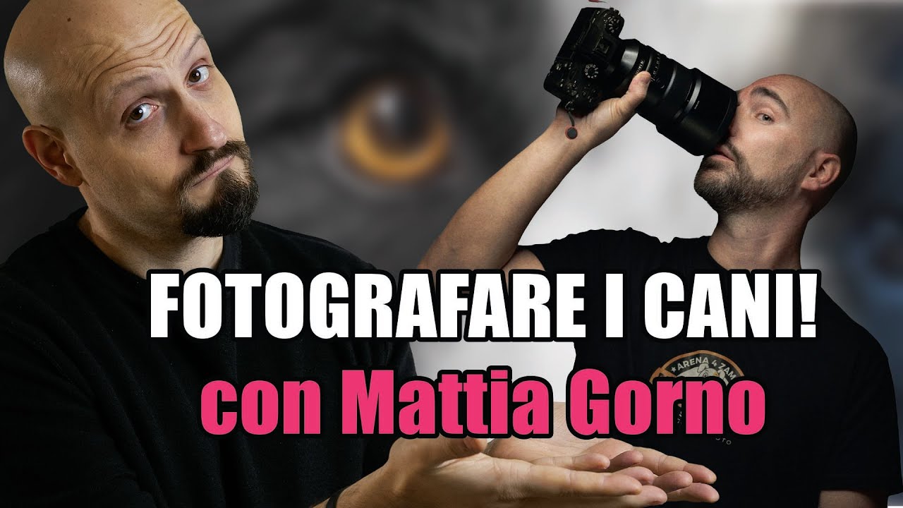 Un fotografo da CANI: Mattia Gorno!