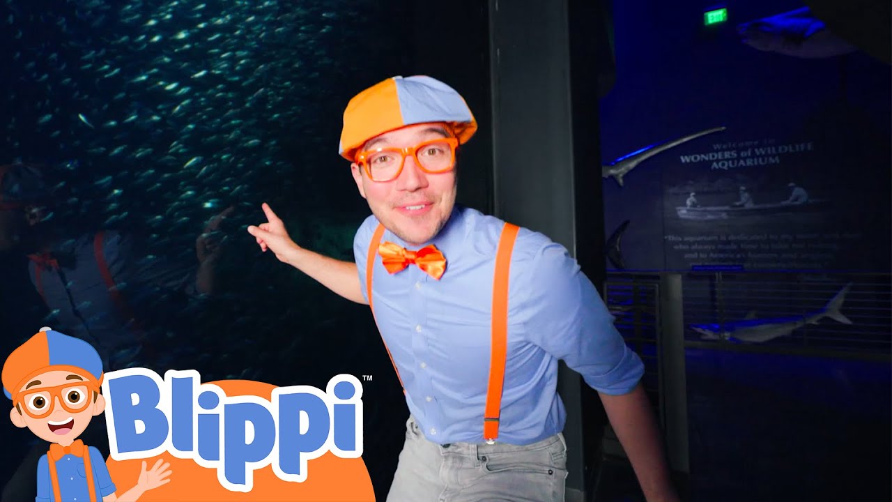 Blippi’s Big Blue Sea Search | Blippi - Learn Colors and Science