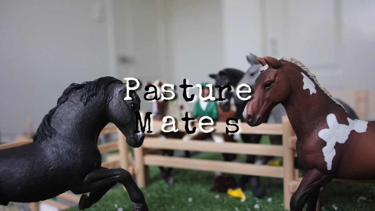 ♧°.•☆Firefly stables || Pasture mates || EP.05 || Schleich series ☆•.°♧