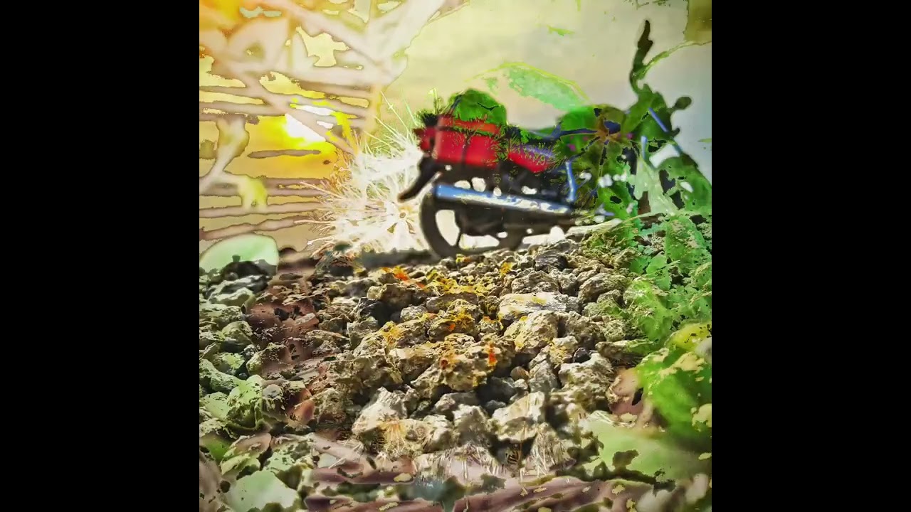 Nature Action