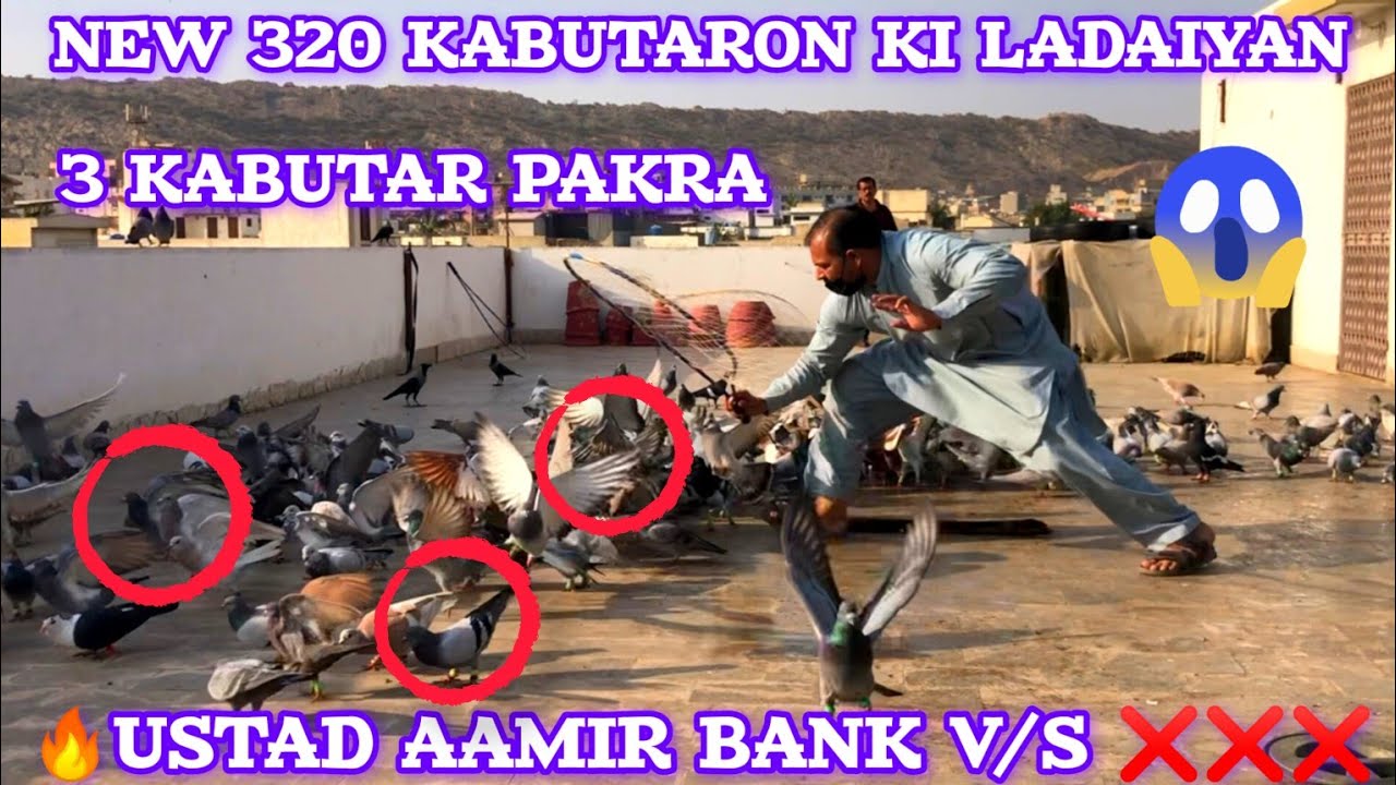 🔥Ustad Aamir Bank V/S ❌❌❌| 3 Kabutar pakra | Dil Choo Lene Wali Udaan | karachi Kabootarbaazi 2026