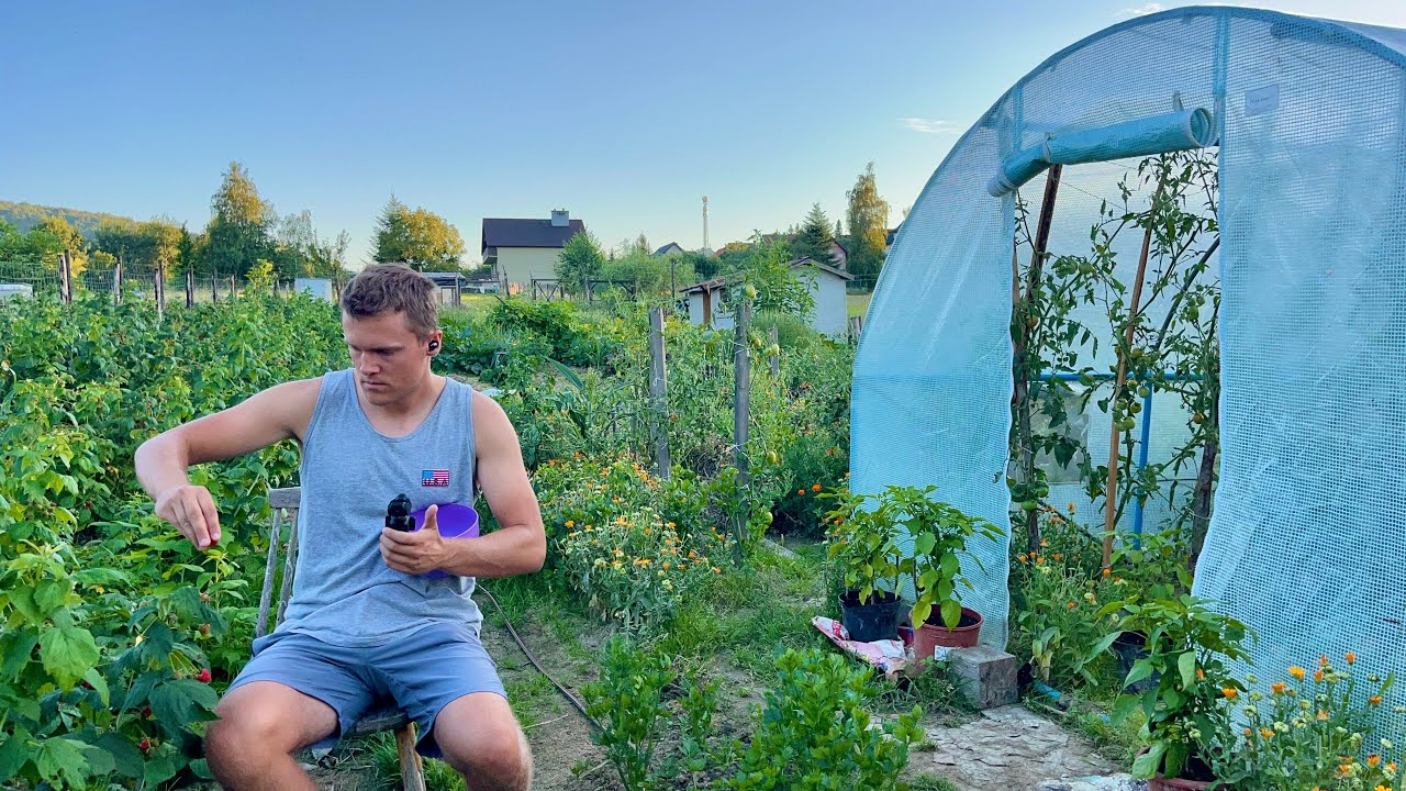 What&rsquo;s on my small farm in Poland 🇵🇱