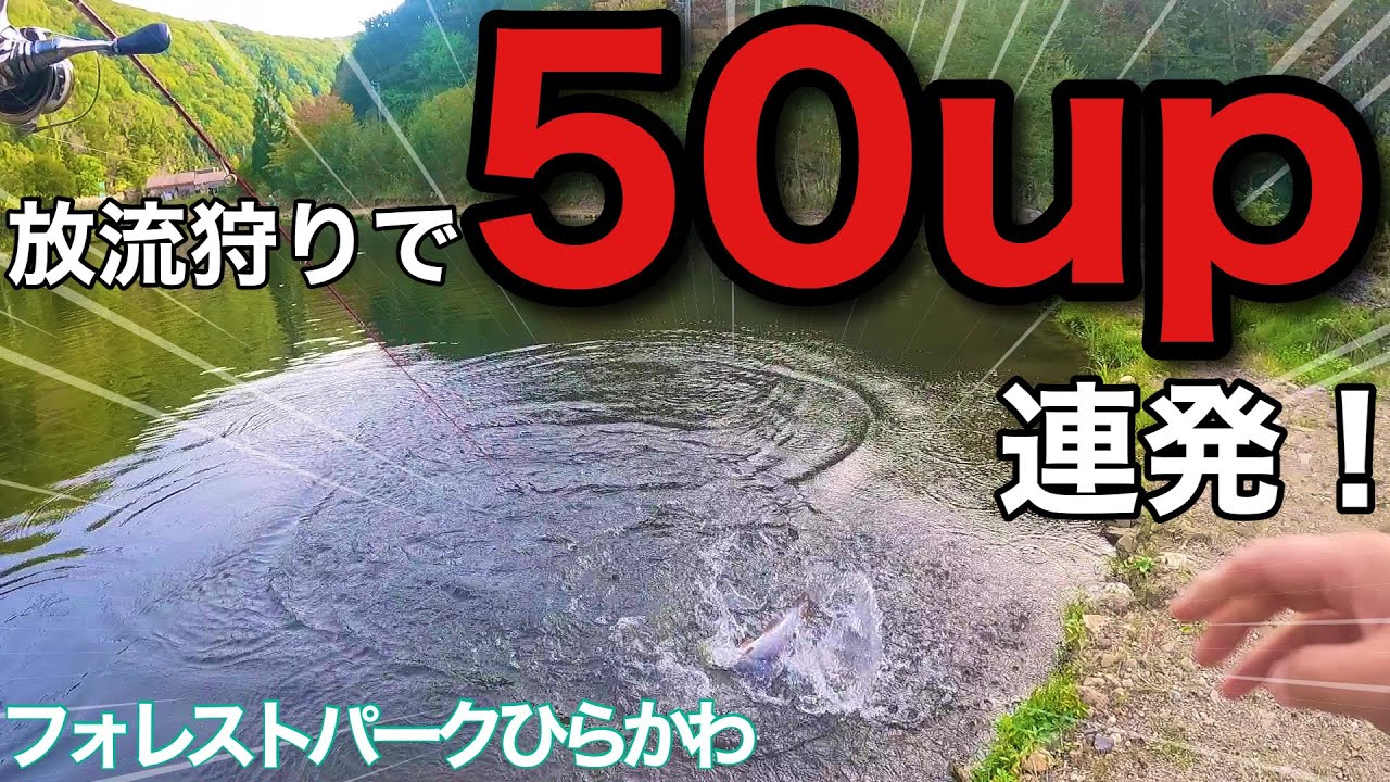 【デカマス連発！】フォレストパークひらかわ釣行【エリアトラウト　管理釣り場　管釣り　釣り】