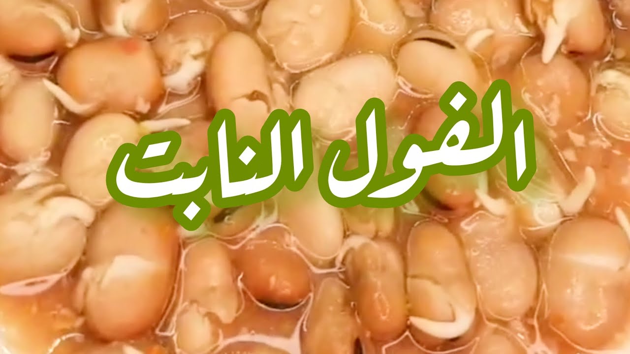 الفول النابت 🥰 سر الأكلة المصرية الأصيلة في بيتك!