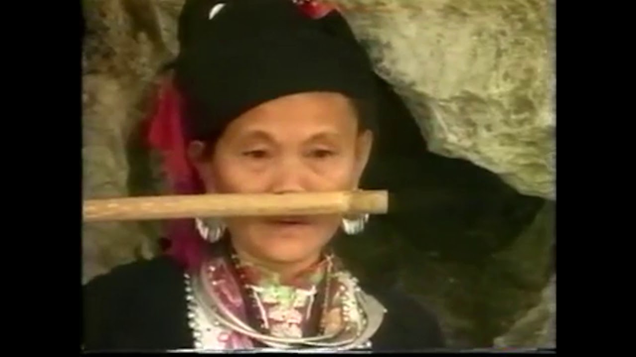 Vietnamese 