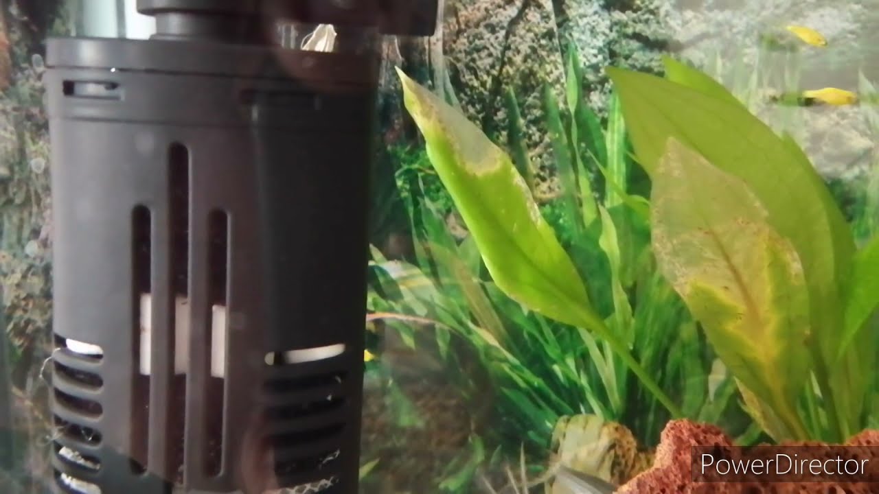 Filtro interno, como modificarlo para la etapa mecánica y nitrificante, como bajar el flujo excesivo