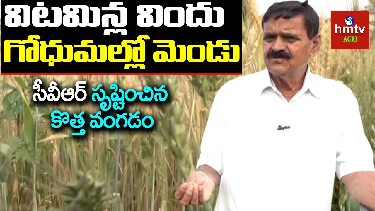 ప్రకృతి పద్ధతుల్లో ప్రయోగాల సాగు | Chintala Venkat Reddy | hmtv Agri