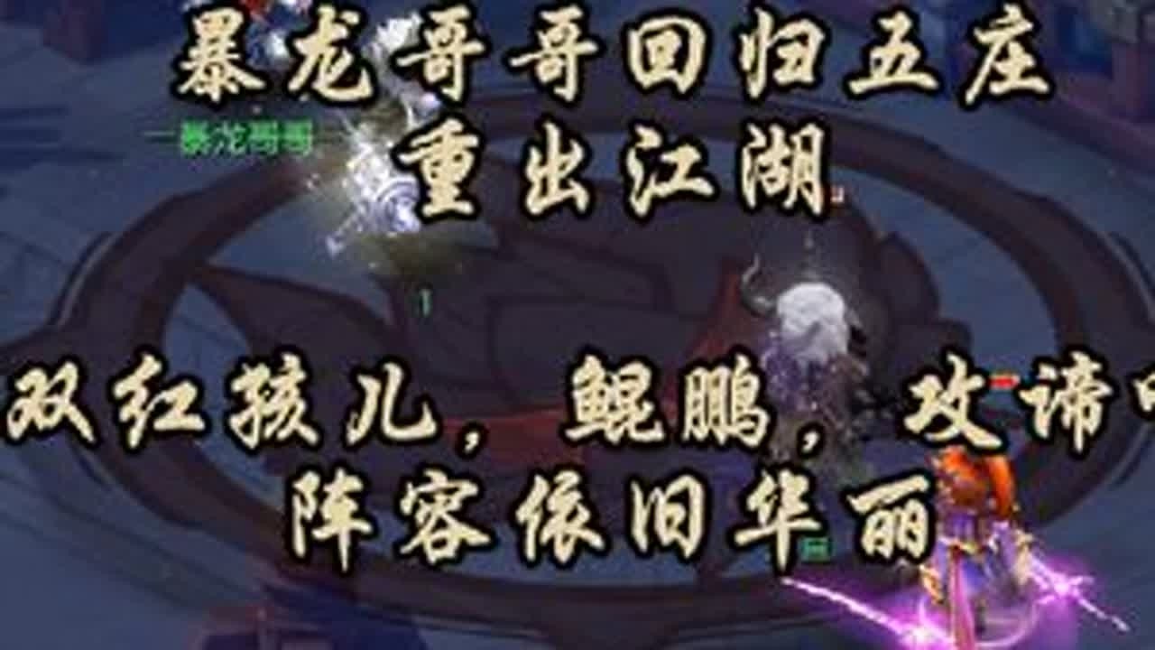 暴龙哥哥重出江湖，双红孩儿，鲲鹏，攻谛听，阵容依旧华丽，宏风能否招架？#梦幻西游 #梦幻西游电脑版