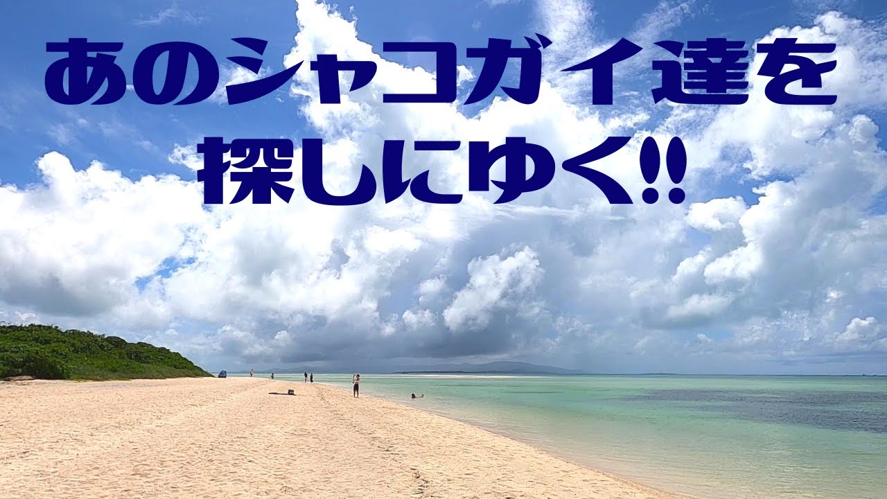 欲しい物を拾いに行ったら大切な物を失った...( ;∀;) 第347話