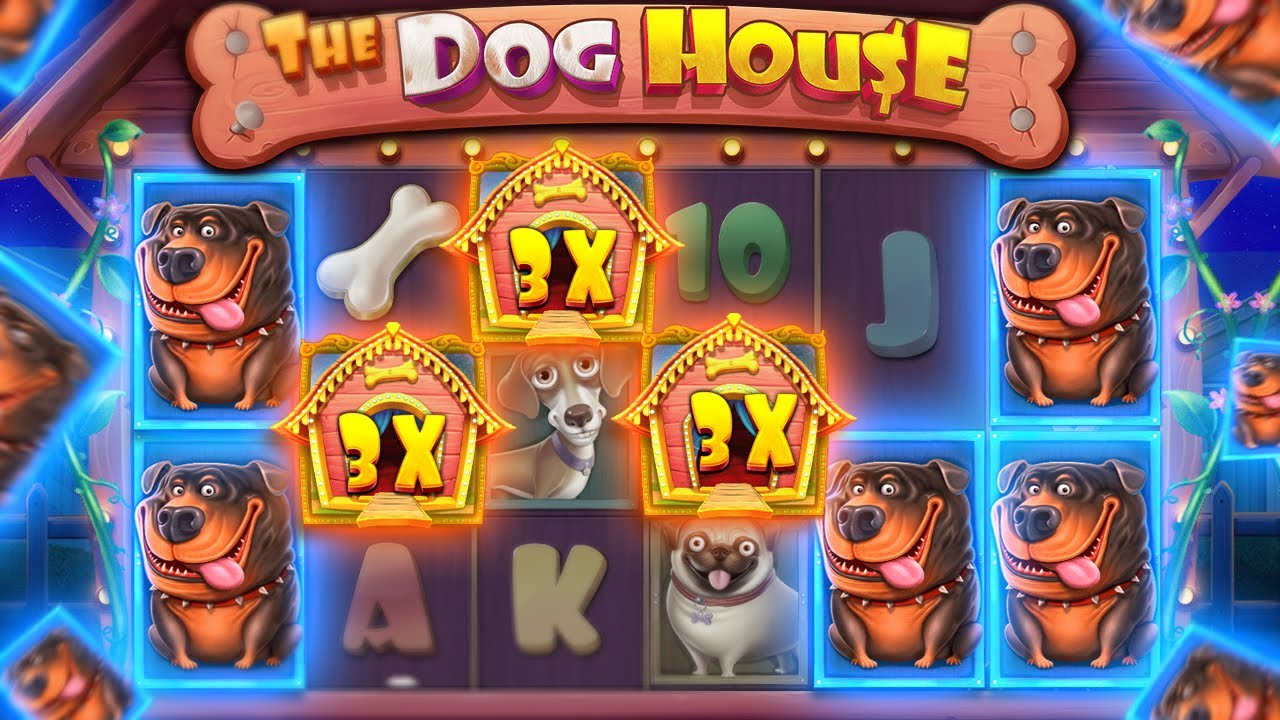HITTING TOP SYMBOL ON DOG HOUSE MEGAWAYS!! (BONUS BUYS)