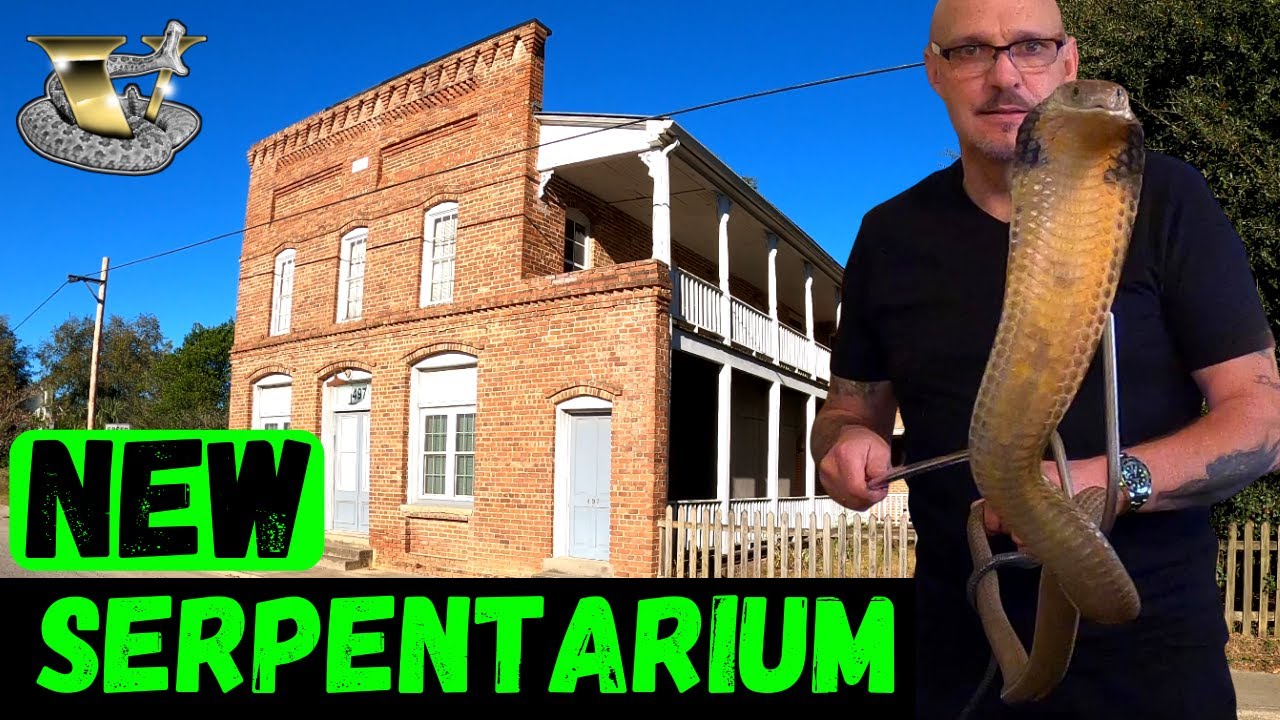 Inside the World's Most Insane Snake Collection: The Serpent Center