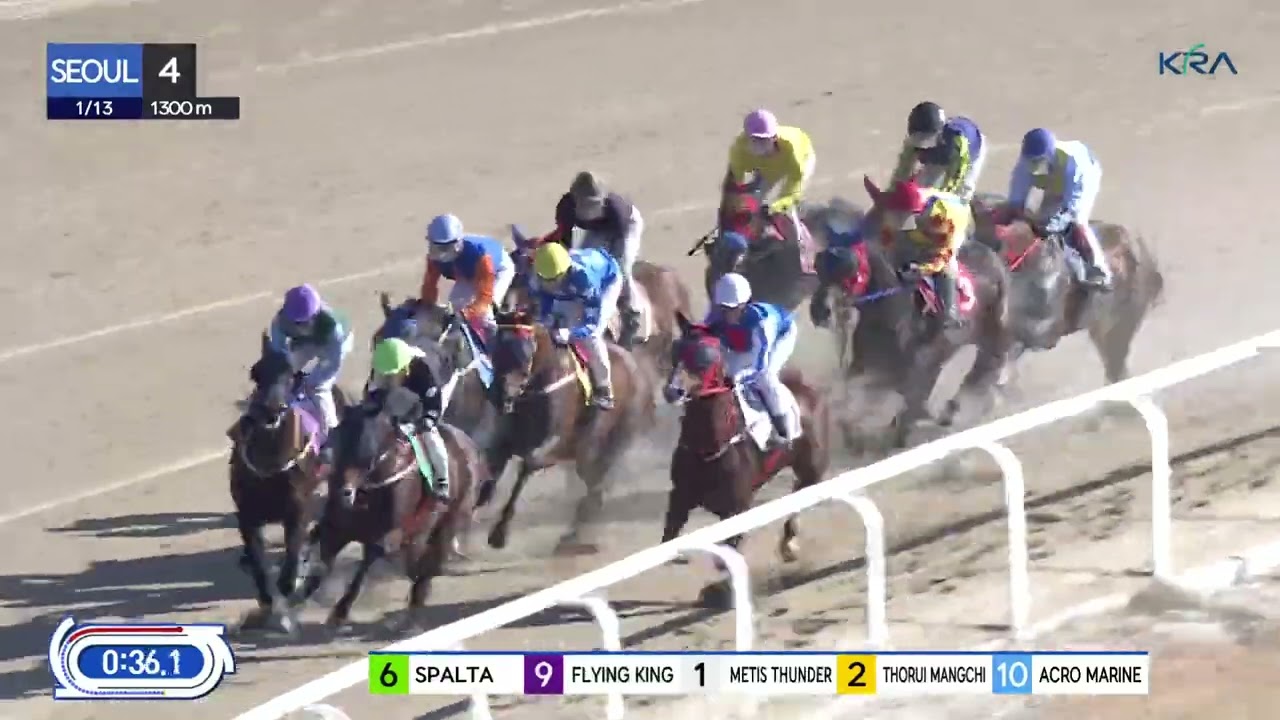 (Seoul) 2024.01.13 R4 Class 6 (1300M) Special Weight A