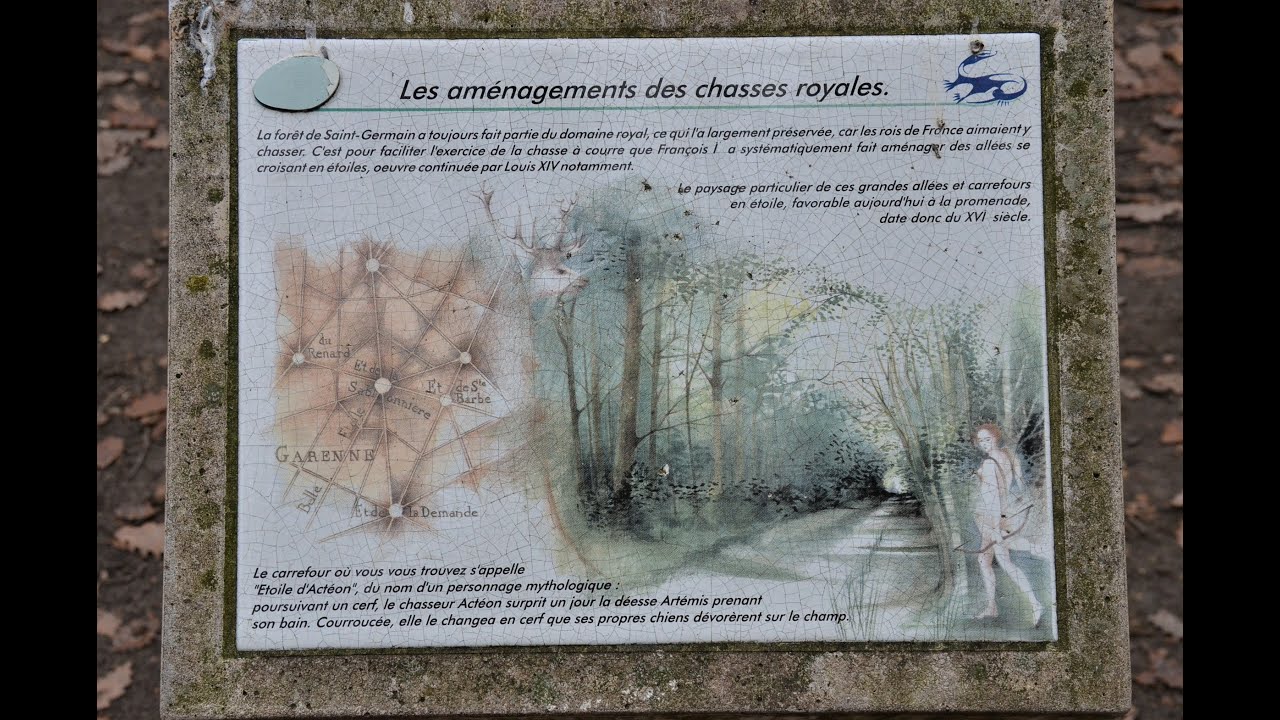 Forêt de St Germain en Laye.