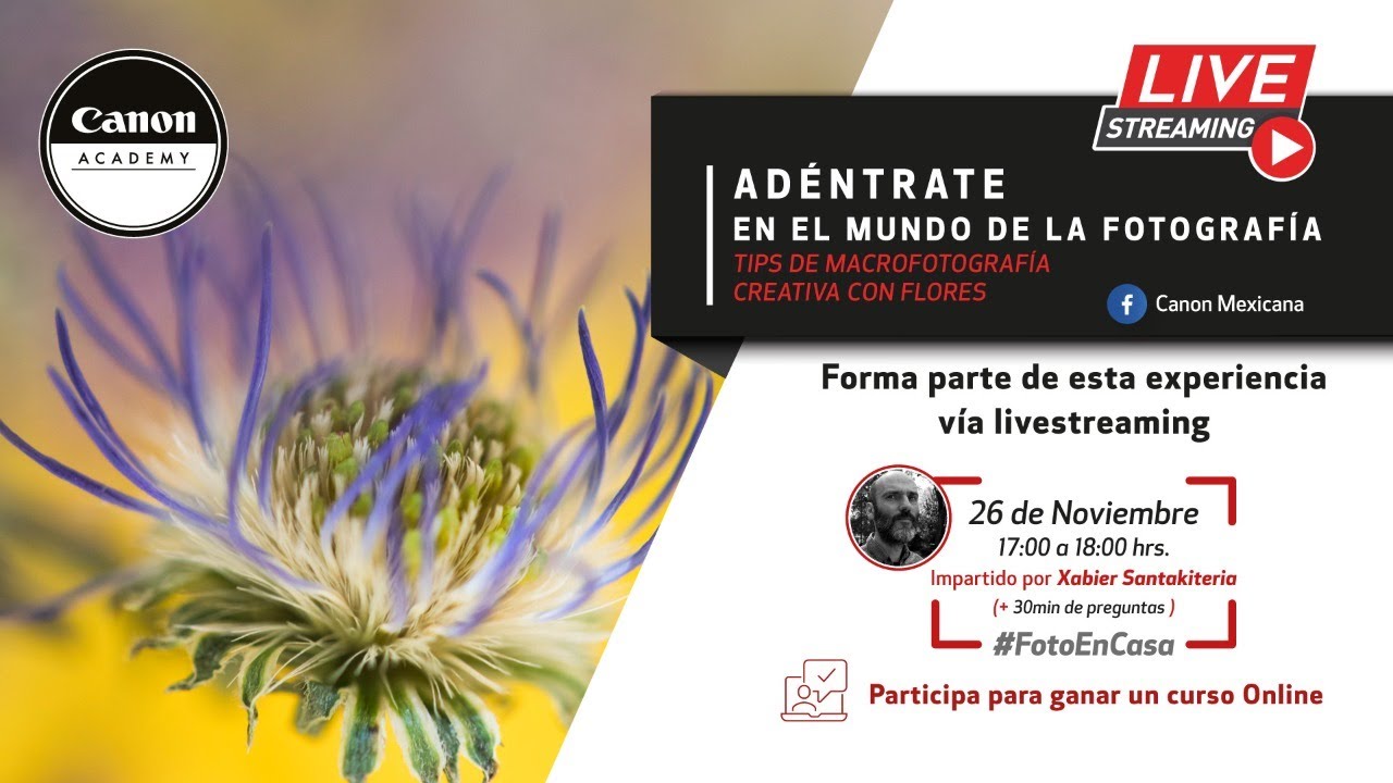Macrofotografía creativa con flores: Canon live streaming