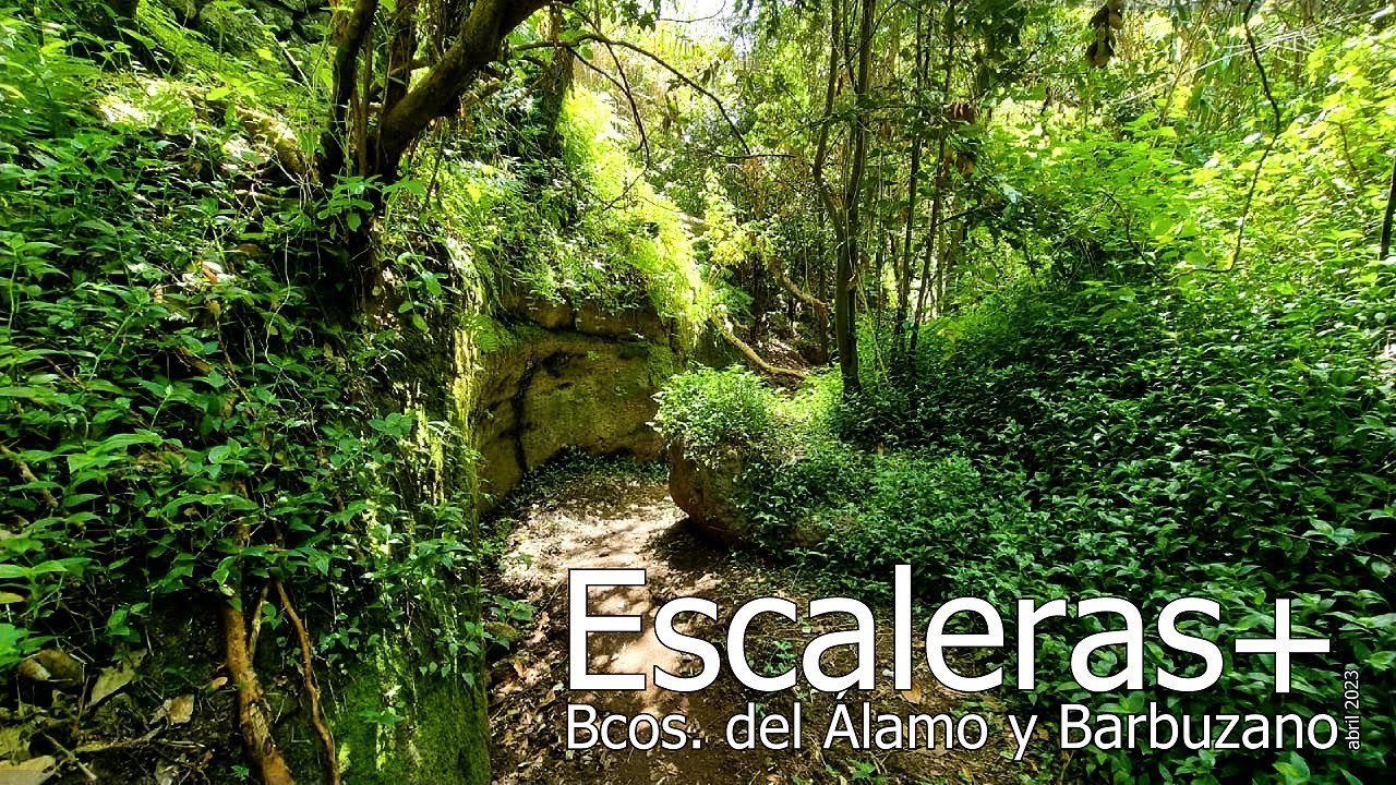 ESCALERAS+  Bcos. del ÁLAMO y BARBUZANO (comentada)(abril de 2023)