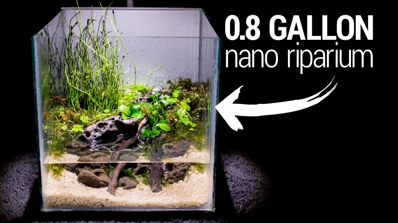 Making a 0.8 Gallon NANO RIPARIUM