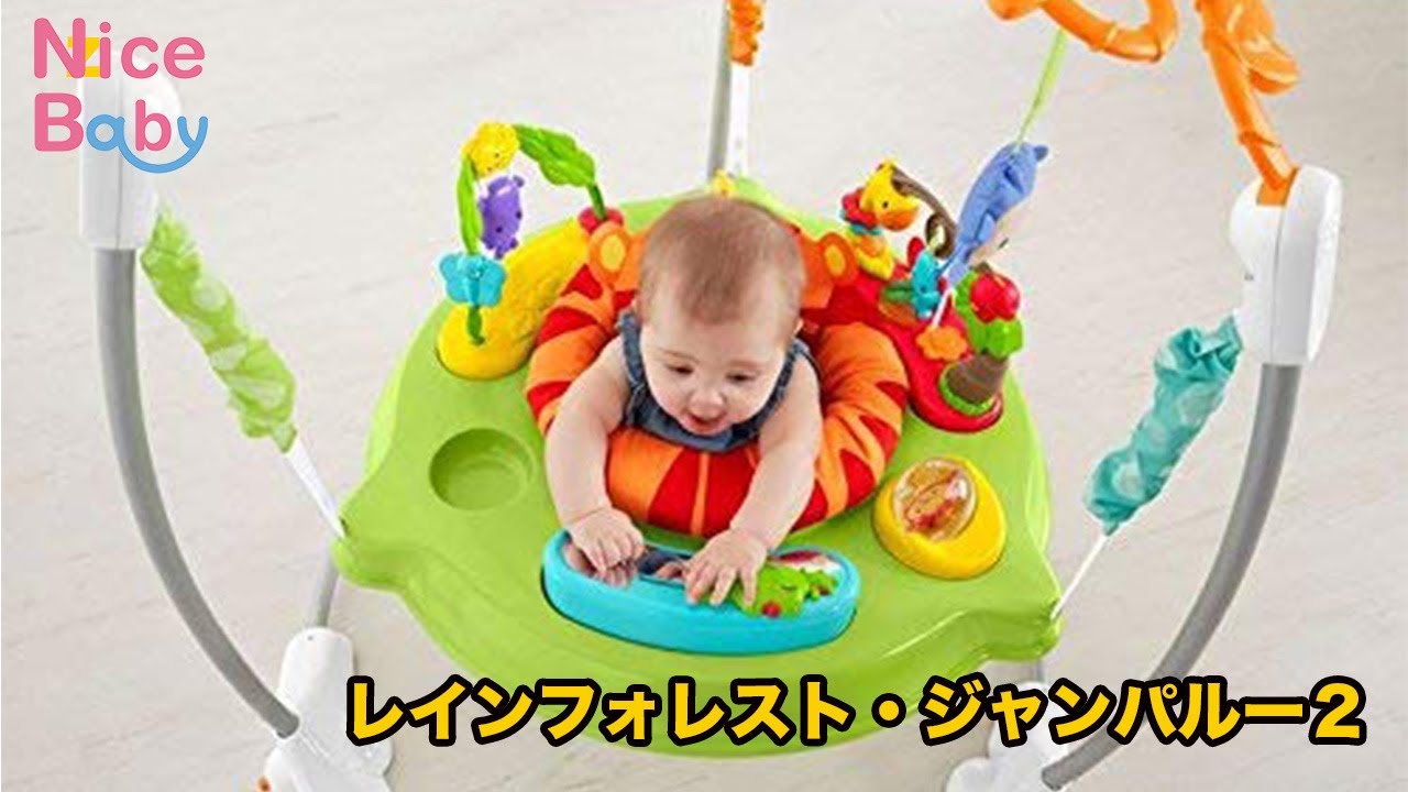 レインフォレスト・ジャンパルー2　組み立て・解体